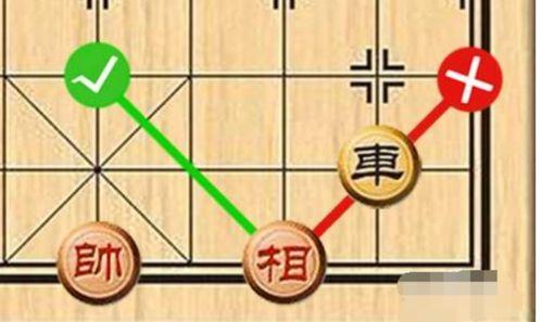 宋洁象棋个人资料,象棋界璀璨新星，棋艺高超的传奇人物
